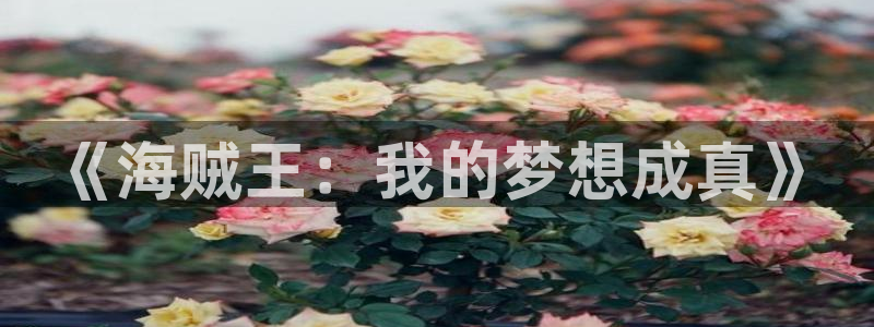 日在校园风车动漫：《海贼王：我的梦想成真》