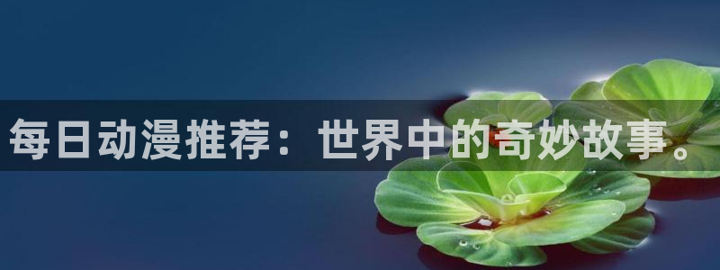 风车动漫dm530官网：每日动漫推荐：世界中的奇妙故事。