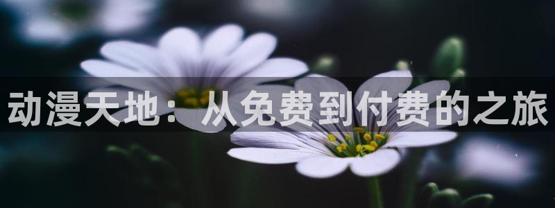 风车动漫overflow：动漫天地：从免费到付费的之旅